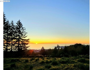 Spectacular Oceanview Acreage - No CC&Rs or HOA! Nestled along a - photo 4