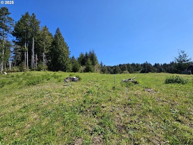 Spectacular Oceanview Acreage - No CC&Rs or HOA! Nestled along a - photo 6