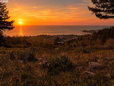 Spectacular Oceanview Acreage - No CC&Rs or HOA! Nestled along a - photo 7
