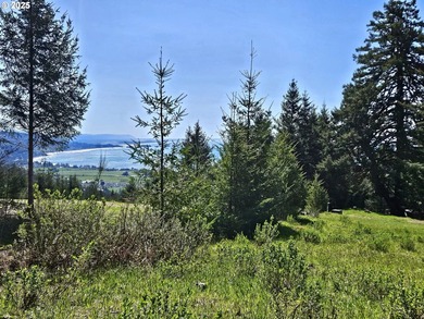 Spectacular Oceanview Acreage - No CC&Rs or HOA! Nestled along a - photo 8