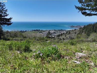 Spectacular Oceanview Acreage - No CC&Rs or HOA! Nestled along a - photo 9