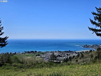 Spectacular Oceanview Acreage - No CC&Rs or HOA! Nestled along a - photo 10