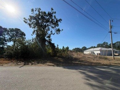 Lehigh Acres Area Lot For Sale in Lehigh Acres Florida