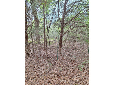 Immerse yourself in peace and tranquility situated just a - photo 18