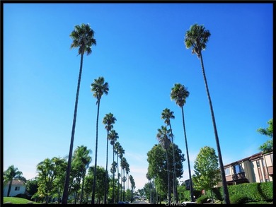 Welcome to the highly desirable Armaga Spring community in - photo 40