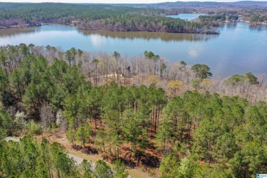 Lay Lake Acreage For Sale in Sylacauga Alabama