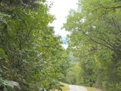 Table Rock Lake Lot For Sale in Branson West Missouri