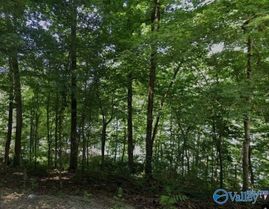 Wheeler Lake Lot For Sale in Athens Alabama