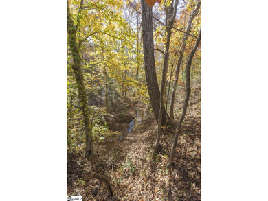 Contact Pat McNamara @ for more information or to tour this - photo 10