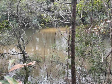 Lake Acreage For Sale in Robertsdale, Alabama