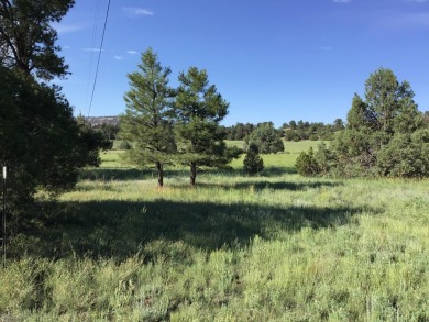 Ramah Reservoir Acreage For Sale in Ramah New Mexico