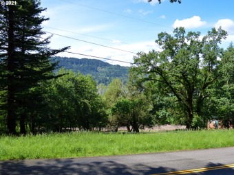 Columbia River - Multnomah County Lot For Sale in Corbett Oregon
