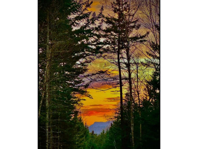 Private 53.9-Acre Retreat in Rangeley Plantation. Escape to your - photo 39