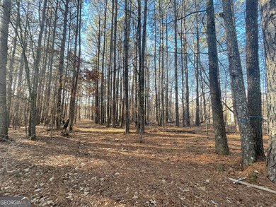 Maple Lake  Lot For Sale in Acworth Georgia