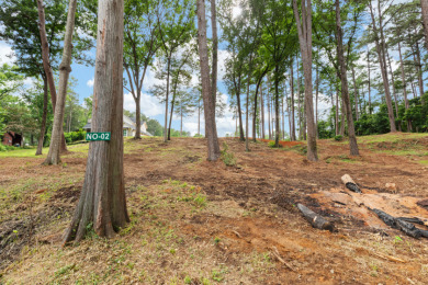 NO2 Lake Cherokee For Sale - photo 8