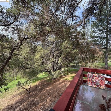 Tranquility awaits in this classic 2-bedroom 1 bath chalet - photo 11