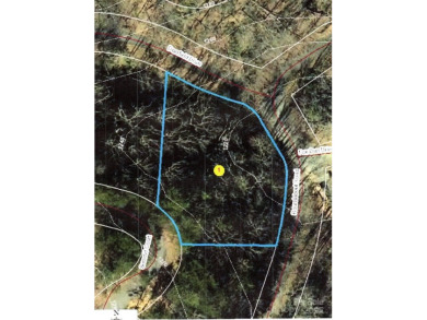 Lake Lure Lot For Sale in Lake Lure North Carolina