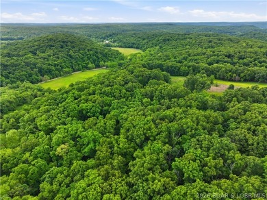 Experience the best of country living at the Lake of the Ozarks - photo 42