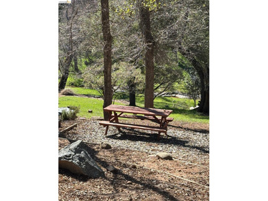 Tranquility awaits in this classic 2-bedroom 1 bath chalet - photo 45
