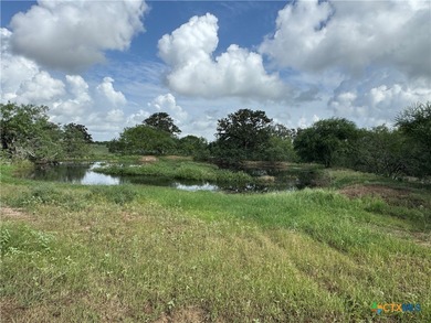 (private lake, pond, creek) Lot For Sale in Gonzales Texas