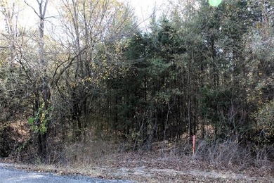 4.6 Acres Near the Red River - Build Your Dream Home or Hunting - photo 12