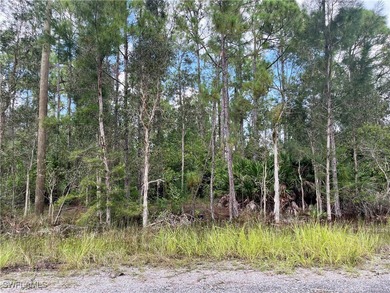 Lehigh Acres Area Lot For Sale in Lehigh Acres Florida