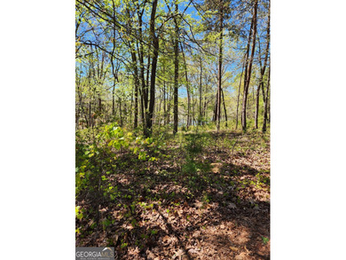 Gentle sloped lakefront lot just waiting for your floor plan - photo 1