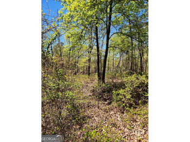 Gentle sloped lakefront lot just waiting for your floor plan - photo 2