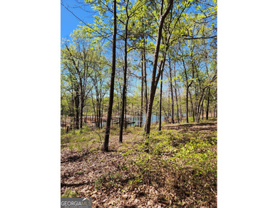 Gentle sloped lakefront lot just waiting for your floor plan - photo 3