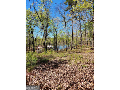 Gentle sloped lakefront lot just waiting for your floor plan - photo 4