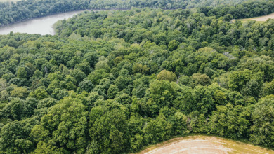 New price! Wooded Lot in Timberlake Subdivision - Lake Lot For Sale in McDaniels, Kentucky
