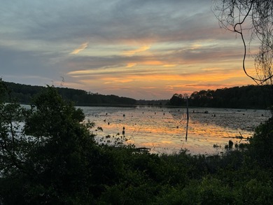 (private lake, pond, creek) Lot For Sale in Defuniak Springs Florida