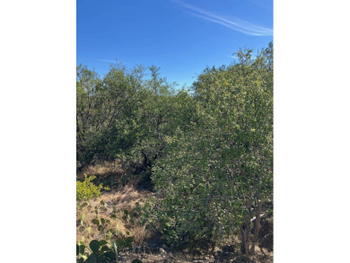 Lake Lot For Sale in Horseshoe Bay, Texas
