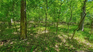 Nestled in the prestigious community of Porto Cima along Spring - photo 11