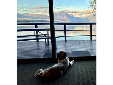 Claim a piece of Glacier National Park that few will ever - photo 19