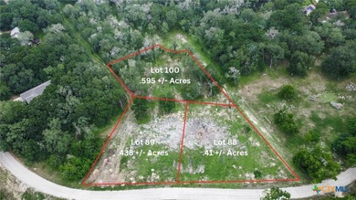 NO LAKE TAX! BOAT LAUNCH FROM HOA PARK. Lot 100 .595 Ac - photo 2