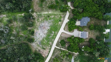 NO LAKE TAX! BOAT LAUNCH FROM HOA PARK. Lot 100 .595 Ac - photo 8