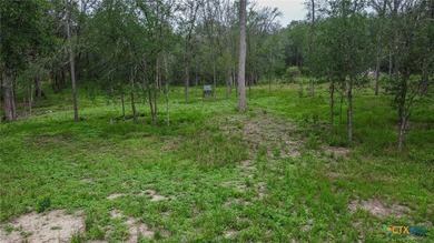NO LAKE TAX! BOAT LAUNCH FROM HOA PARK. Lot 100 .595 Ac - photo 9