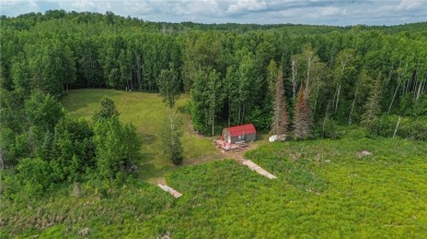 Lake Home For Sale in Bigfork, Minnesota