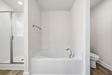 Better Than New Construction! Why wait months to build? This - photo 19