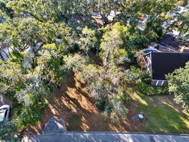 Prime Vacant Building Lot in Temple Terrace - 1113 Riverhills - photo 3