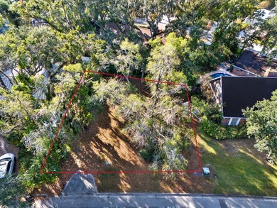 Prime Vacant Building Lot in Temple Terrace - 1113 Riverhills - photo 4