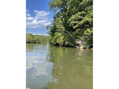 This Lake Keowee this property is full of potential! This land - photo 3