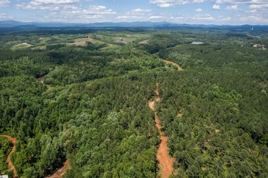 This Lake Keowee this property is full of potential! This land - photo 6