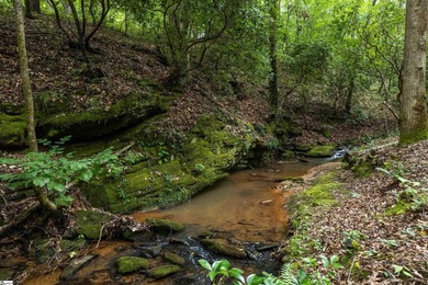 This Lake Keowee this property is full of potential! This land - photo 8