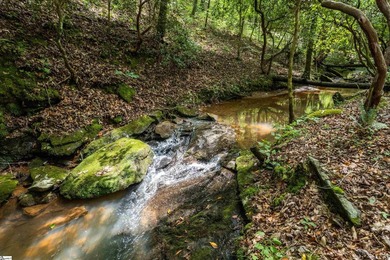 This Lake Keowee this property is full of potential! This land - photo 10