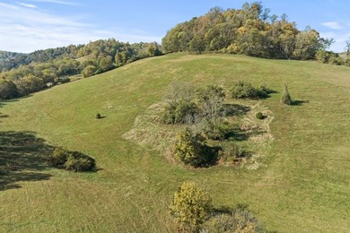 This unique, one of a kind, property is nestled in the hills of - photo 24