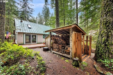 Experience off grid living with this spectacular 1,068 sqft, 3 - photo 26