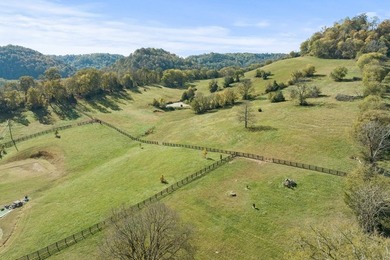 This unique, one of a kind, property is nestled in the hills of - photo 26