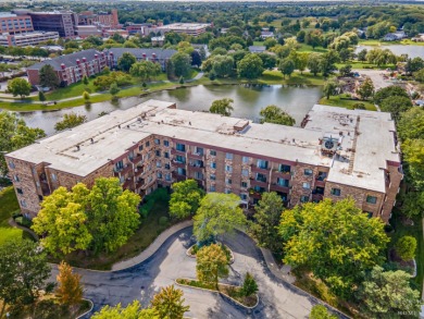 Lake Condo For Sale in Elk Grove Village, Illinois
